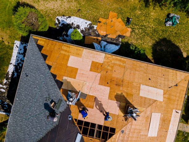 Best Roof Repair Specialists  in Mcelhattan, PA